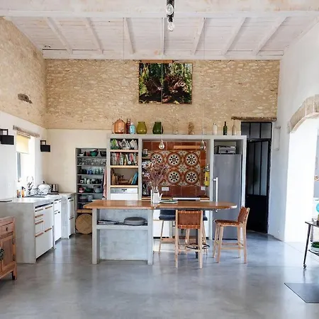 Beautiful Chartreuse With Swimming Pool Villa