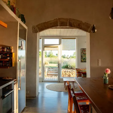 Beautiful Chartreuse With Swimming Pool Villa